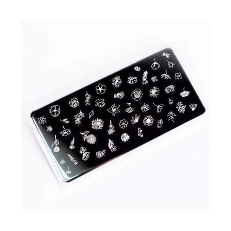 Nail Stamping Plate. Echo: Garden *2
