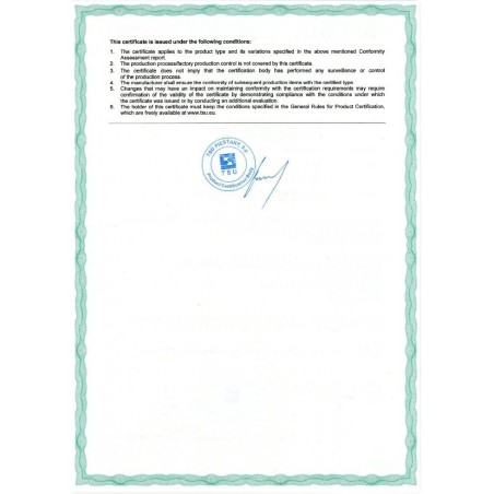 Teri Turbo Integrable (Pletina White Metal Art)