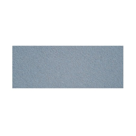 Recambio Desechable papmAm Exclusive 22 Grano 180