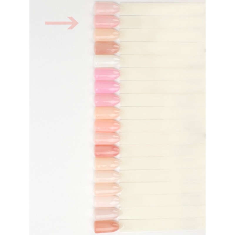 Lianail Base Perfect Factor *265