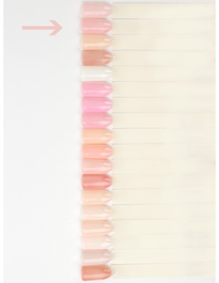 Lianail Base Perfect Factor *265