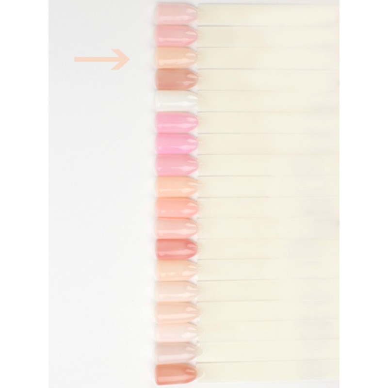 Lianail Base Perfect Factor *266