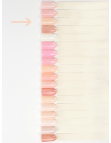 Lianail Base Perfect Factor *266