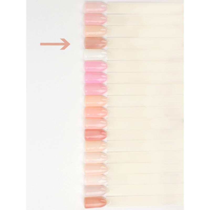 Lianail Base Perfect Factor *267