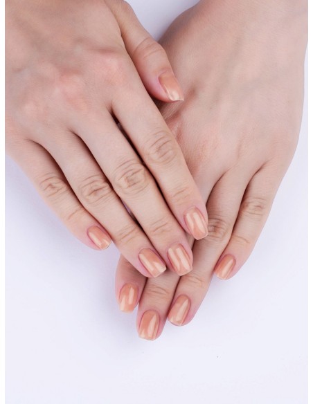 Lianail Base Perfect Factor *267