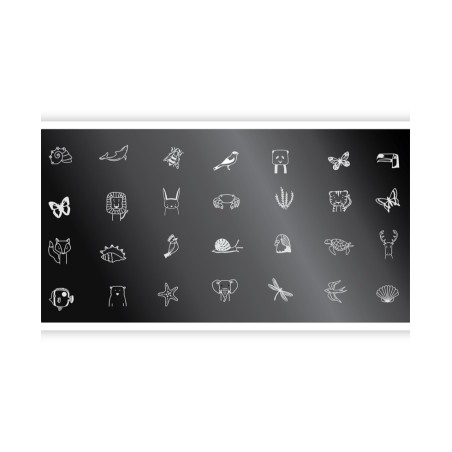 Nail Stamping Plate. Echo: Fauna *1