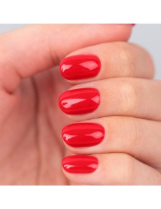 Spektr Gel Polish *246 Sinner from Toledo 10ml 2